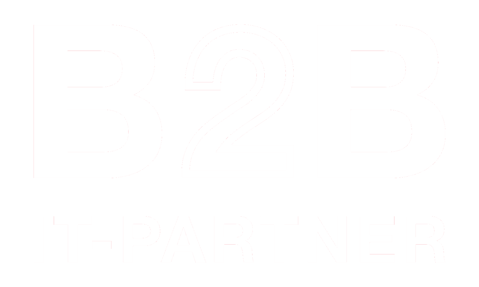 B2B IT-Partner
